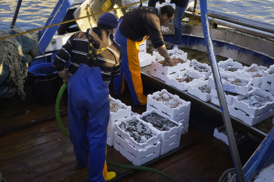 Los productos incluidos son la merluza de pincho y la pescadilla fina, que se podrán adquirir a 6,50 euros el kilo y a 3,90 euros el kilo, respectivamente.