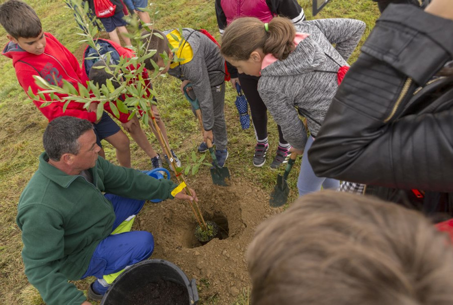 Plantación de árboles anual que la empresa realiza junto a grupos de escolares para concienciar sobre los efectos del cambio climático.