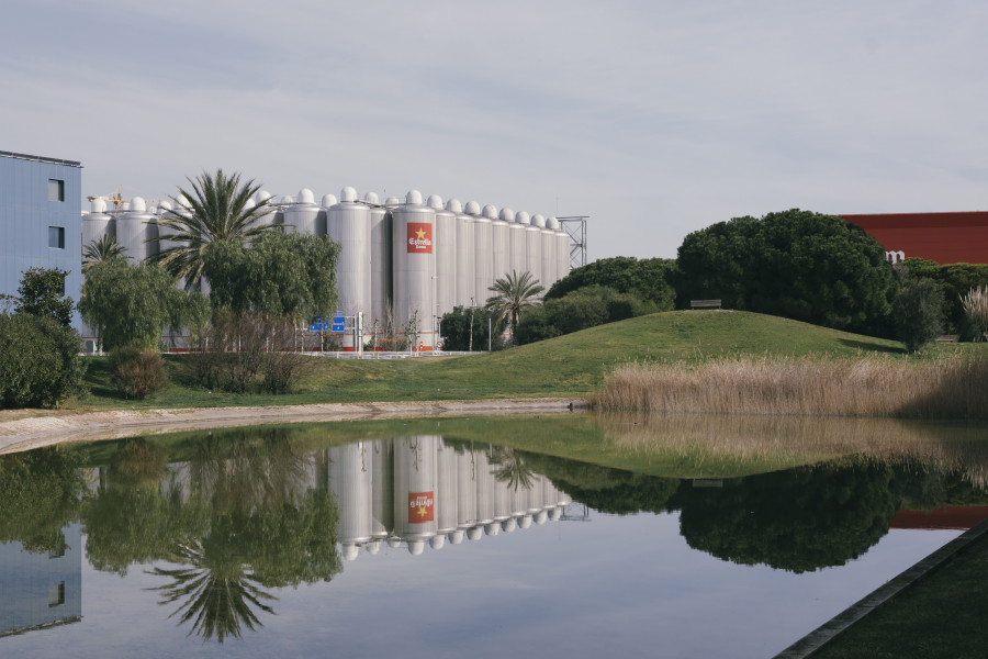 La cervecera estima recuperar un total de más de 3,5 millones de litros de cerveza, los cuales va a transformar en energía de origen renovable en su fábrica de El Prat de Llobregat, en Barcelona.