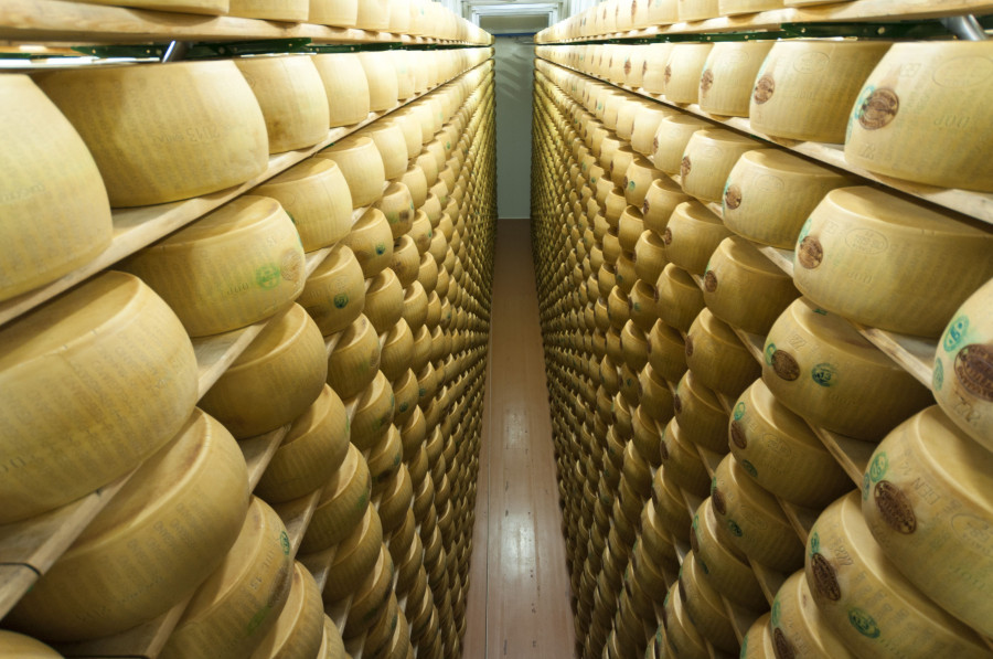 En los últimos tres años, la producción de Parmigiano Reggiano ha aumentado de 3,47 a 3,75 millones de ruedas, lo que supone un incremento del 8,1%.