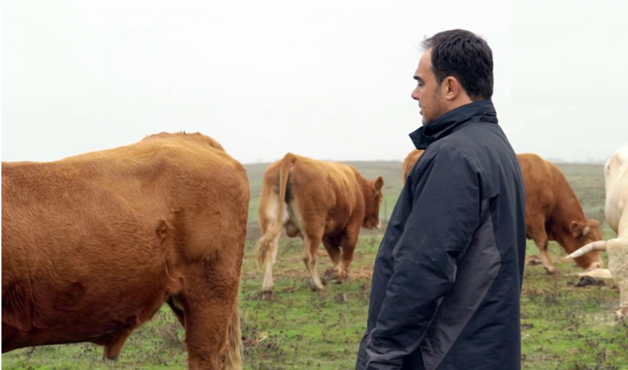 A través de su marca Calidad y Origen Carrefour, comercializa carnes de animales criados sin tratamientos antibióticos desde su nacimiento y con una alimentación 100% vegetal.