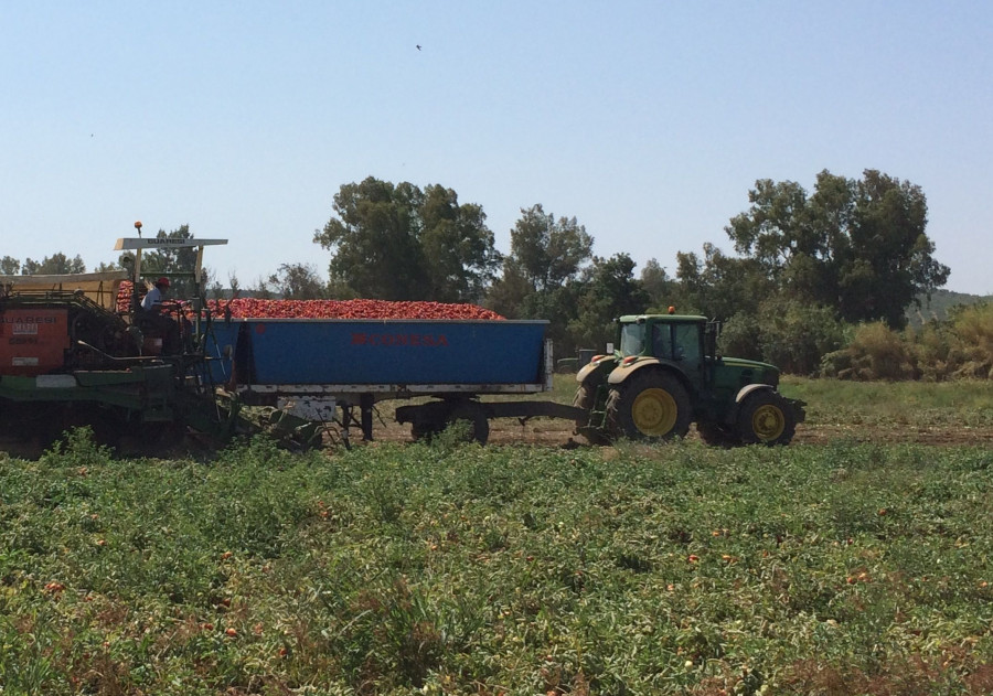 La Compañía ha proporcionado salsas de tomate frito al Banco de Alimentos de Cáceres y a Cáritas de Miajadas.