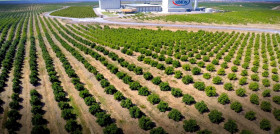 La planta de Huelva.