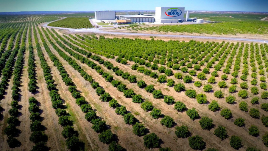 La planta de Huelva.