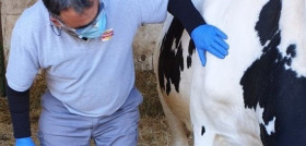 Óscar Hontoria, ganadero de Calidad Pascual.