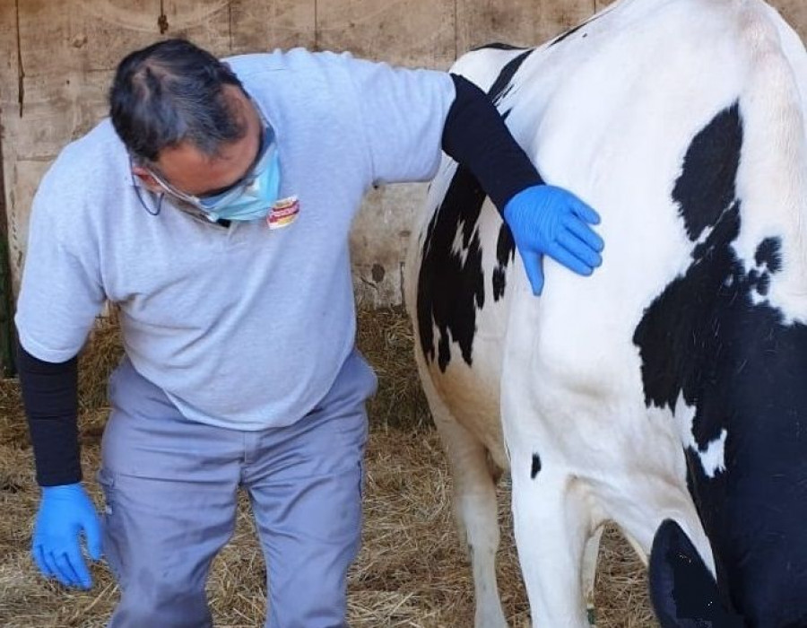 Óscar Hontoria, ganadero de Calidad Pascual.