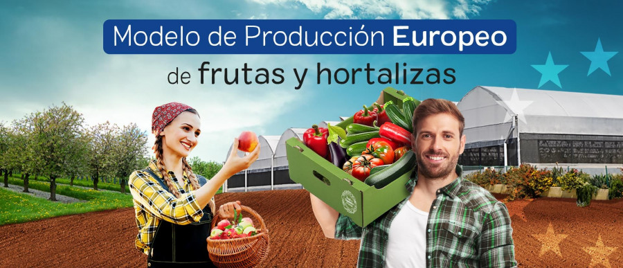 FruitvegetablesEurope considera que se deben establecer medidas de apoyo excepcionales y temporales para los productores de frutas y hortalizas de la UE.