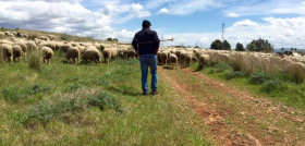 La agricultura, la ganadería y la pesca en España son un referente en sostenibilidad y manejo experto, lo que hace de sus productos unos de los mejores del mundo.