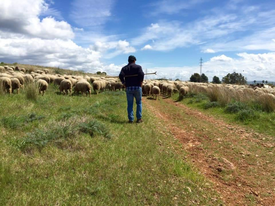 La agricultura, la ganadería y la pesca en España son un referente en sostenibilidad y manejo experto, lo que hace de sus productos unos de los mejores del mundo.