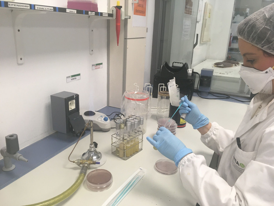 Según la EFSA, no hay constancia de que el virus pueda transmitirse a través de los alimentos, aunque la experta afirma que “puede sobrevivir durante un tiempo en superficies, y por eso puede perm