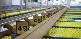 A pesar de las dificultades, el Consorcio sigue con su actividad productiva y comercial, dando la máxima prioridad a la salud de sus colaboradores y de los consumidores.