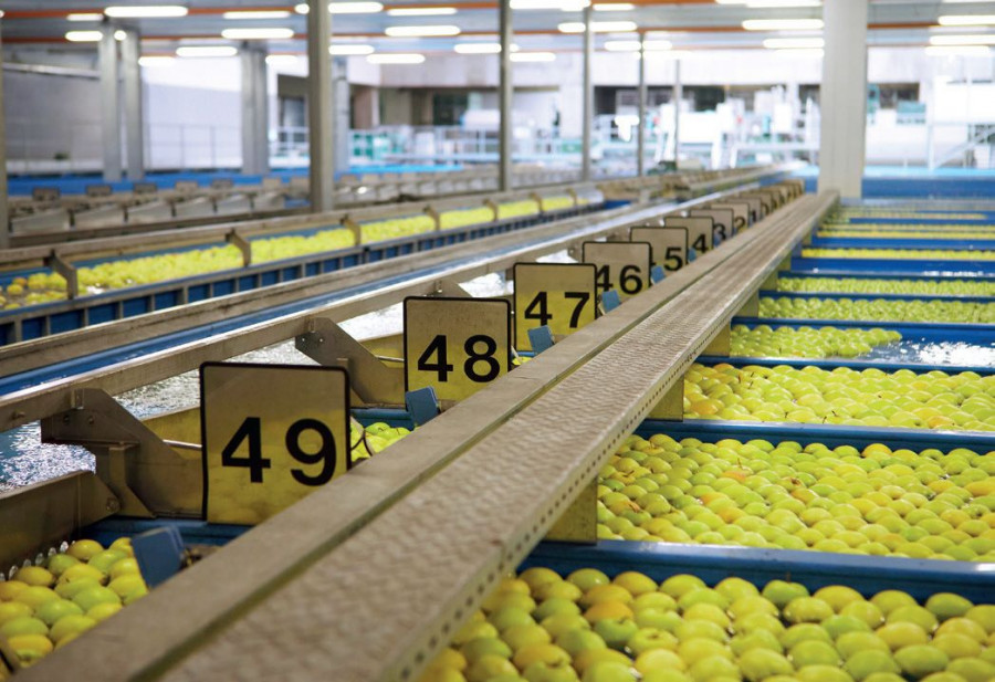 A pesar de las dificultades, el Consorcio sigue con su actividad productiva y comercial, dando la máxima prioridad a la salud de sus colaboradores y de los consumidores.