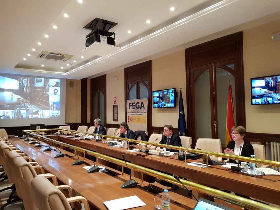 El ministro Planas por videoconferencia, con los consejeros de Agricultura y Pesca autonómicos para analizar las consecuencias del coronavirus.