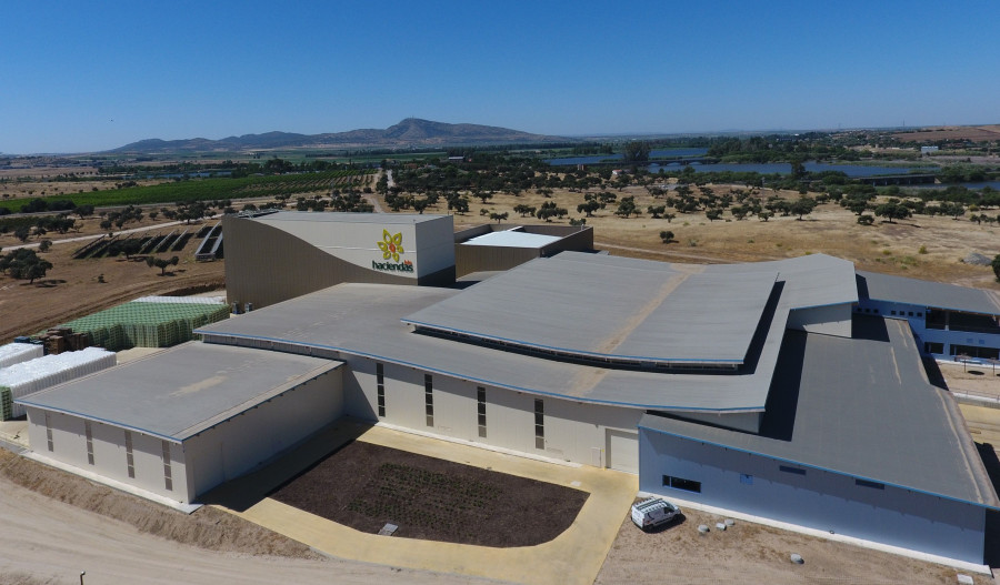 La empresa española ha desarrollado en el último año cultivos de calabacín redondo, pepino mini y colirabano especialmente para el mercado alemán.