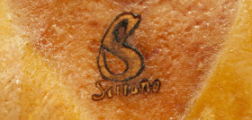 La intensa labor de promoción del CJSE, orientada hacia un jamón serrano de calidad diferenciada, ha llevado a que la entidad selle 16.042.855 millones de piezas desde su fundación.