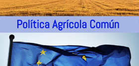 La Comisión ha propuesto ampliar el marco jurídico vigente y seguir financiando la política con arreglo a los importes previstos para el MFP del período posterior a 2020.