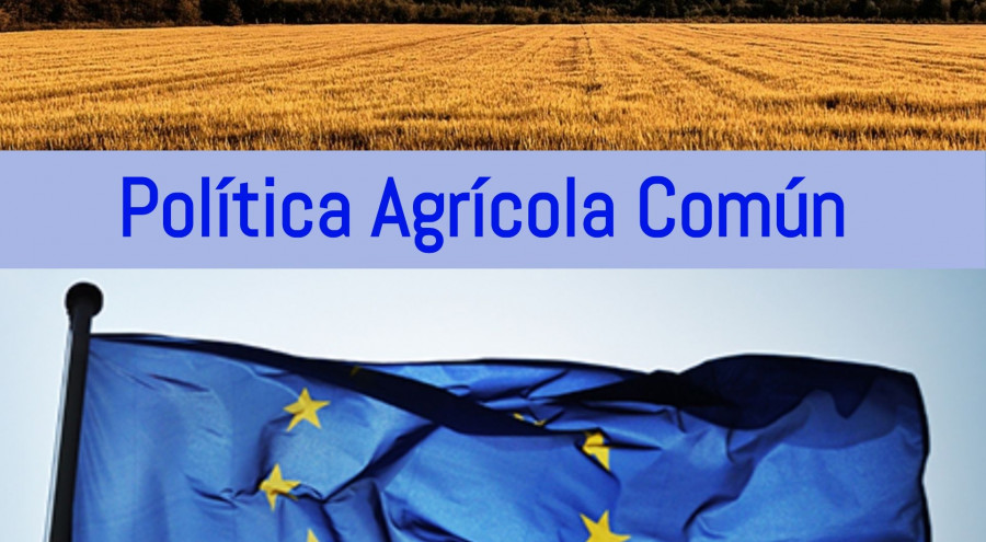 La Comisión ha propuesto ampliar el marco jurídico vigente y seguir financiando la política con arreglo a los importes previstos para el MFP del período posterior a 2020.