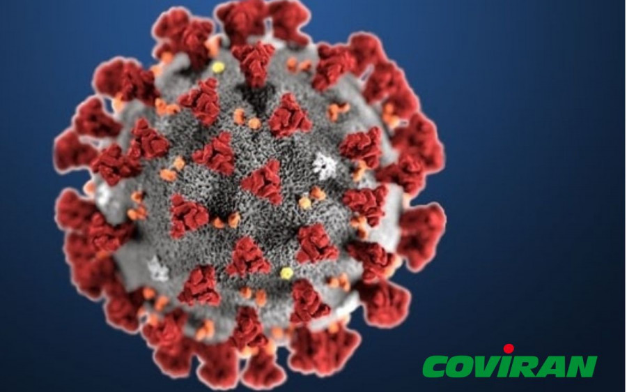 Covirán ha implantado las medidas preventivas establecidas por el Ministerio de Sanidad para evitar contagios, así como la limpieza constante de las manos, la desinfección de los lineales, mobiliar