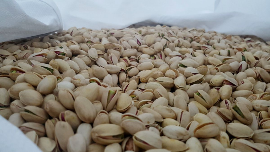 La integran dos Sociedades Agrarias de Transformación: SAT del Campo y SAT Pistamancha, formadas por 45 socios agricultores, que producen al año un total de 200 toneladas.