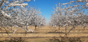 Bain continúa invirtiendo fuertemente en el desarrollo de su proyecto agrícola con un claro enfoque a la sostenibilidad.