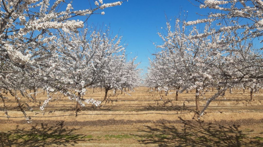 Bain continúa invirtiendo fuertemente en el desarrollo de su proyecto agrícola con un claro enfoque a la sostenibilidad.