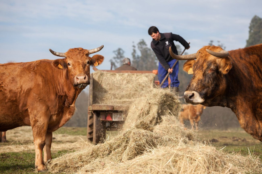 En la actualidad, la compañía colabora con un total de 977 proveedores de Galicia, Asturias y Castilla y León, lo que supone un incremento del 10% respecto al año anterior.