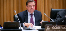 Luis Planas, ministro de Agricultura, Pesca y Alimentación.