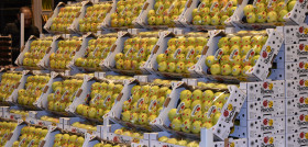En febrero y marzo, la marca visitará seis mercas nacionales para implementar una promoción para mayoristas y fruteros.