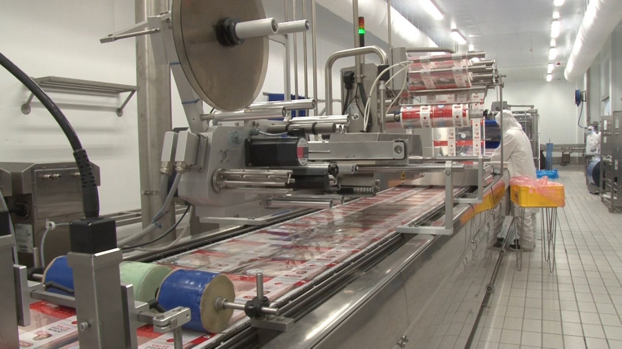 El nuevo método permitirá la desinfección continua de cintas de transporte y productos cárnicos, utilizados en los procesos de producción.