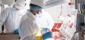 Carpisa Foods ha obtenido la calificación High Level y el grado A respectivamente en estos certificados, lo que garantiza su cumplimiento con los máximos estándares durante todo el proceso de produ