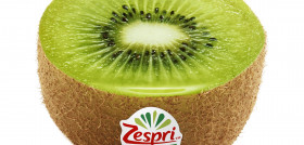 El nuevo logotipo consiste en un abanico verde, inspirado en el vibrante corte del kiwi con una explosión de diferentes tonos verdes y un símbolo rojo que refleja la energía y el dinamismo de la ma