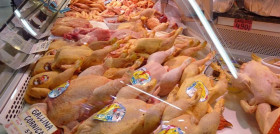 Los productores de carne de ave, a diferencia del sector del huevo, han tenido que hacer frente a una fuerte oscilación en los precios durante el 2019, que han sido malos sobre todo para el pollo ama