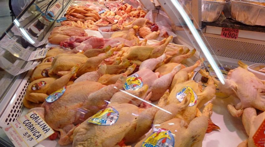 Los productores de carne de ave, a diferencia del sector del huevo, han tenido que hacer frente a una fuerte oscilación en los precios durante el 2019, que han sido malos sobre todo para el pollo ama