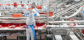 La compañía aumenta un 44’7% los kilos de cerdo vendidos en Europa desde 2015, y un 88,3% en China desde 2017.