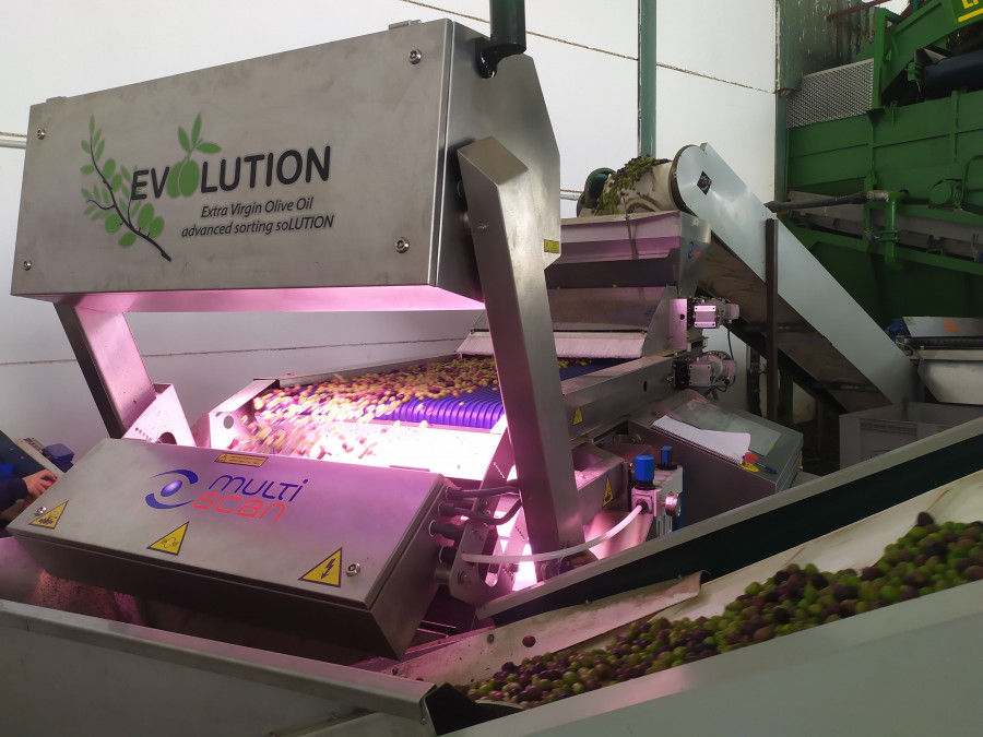 Mediante la clasificación de cada aceituna por índice de madurez y por la presencia o ausencia de defecto, se garantiza la máxima calidad del aceite de oliva virgen extra elaborado.