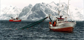 Un nuevo informe apunta al consumo de pescado y marisco para asegurar la  alimentación en el futuro.