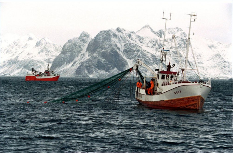 Un nuevo informe apunta al consumo de pescado y marisco para asegurar la  alimentación en el futuro.