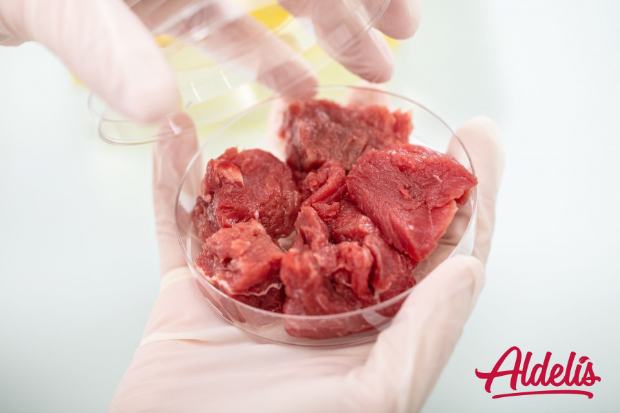 La carne cultivada se presenta como una solución.