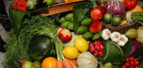 Cultivos ecológicos como los cereales de invierno, el olivar, los subtropicales y los cítricos son los que más reducen la huella de carbono, en comparación con el modelo tradicional, en más de un