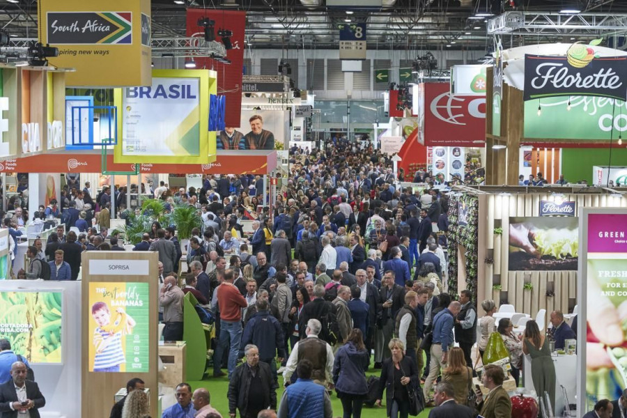 La feria  contó con la participación de 1.770 empresas de 58 países, con un incremento del 9% en relación a 2018, y una ocupación de 55.938 metros cuadrados netos de oferta sectorial –un 10% m