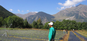 Ejemplo de cultivo eco en España.