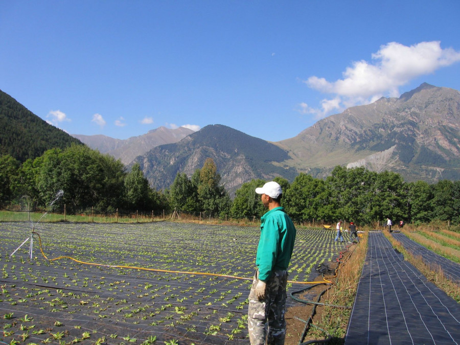 Ejemplo de cultivo eco en España.