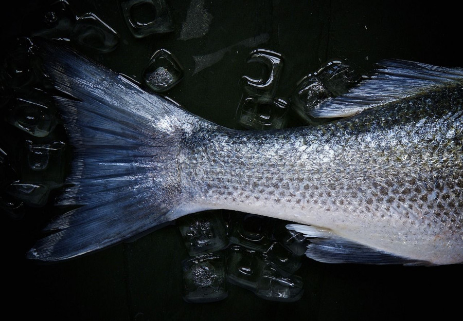 El 34% de los consumidores ha pasado a comprar pescado a los supermercados y ha dejado de hacerlo en las paradas tradicionales.