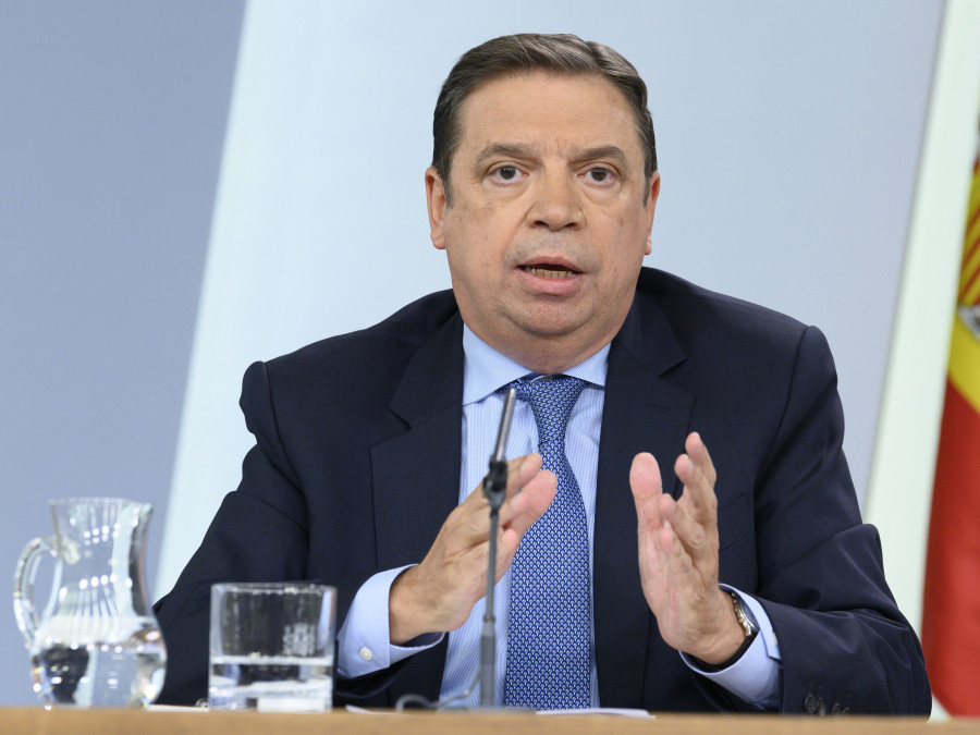 Luis Planas durante la comparecencia tras el Consejo de Ministros.