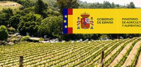 La Organización Interprofesional del Vino de España presentó el pasado mes de junio al Ministerio una propuesta.