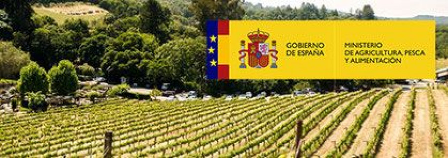 La Organización Interprofesional del Vino de España presentó el pasado mes de junio al Ministerio una propuesta.