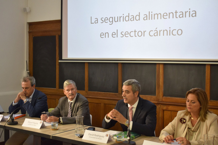 Momento de la rueda de prensa convocada por ANICE.