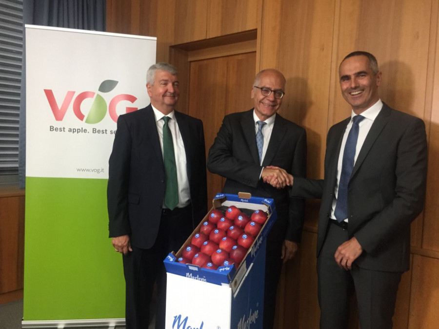 Vog Products se compone de 18 cooperativas de Trentino y Tirol del Sur y cuatro organizaciones productoras con más de 13.000 miembros.