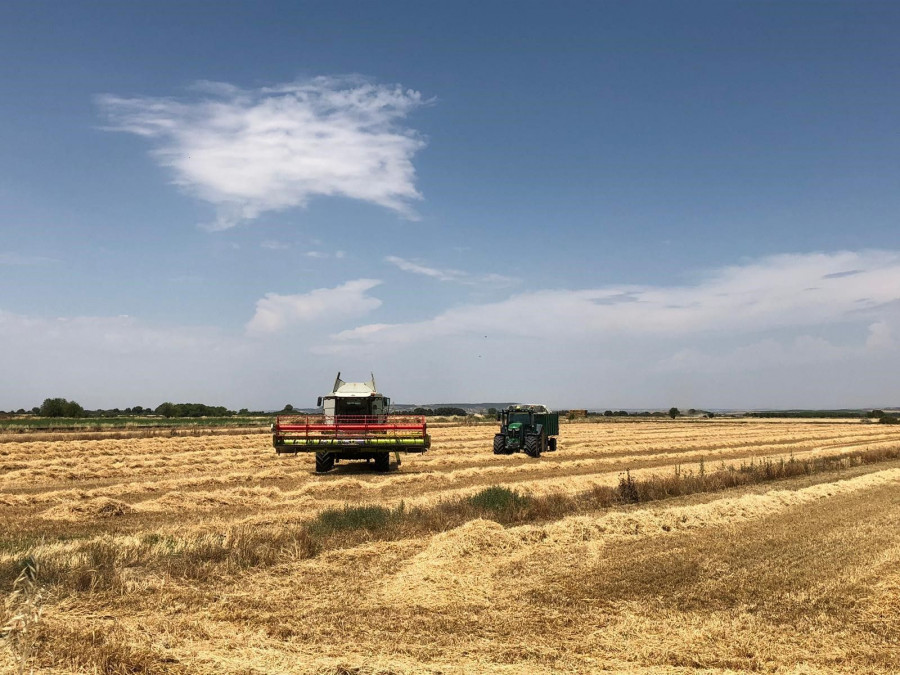 En nuestro país, el programa de trigo sostenible está abanderado por Fontaneda.
