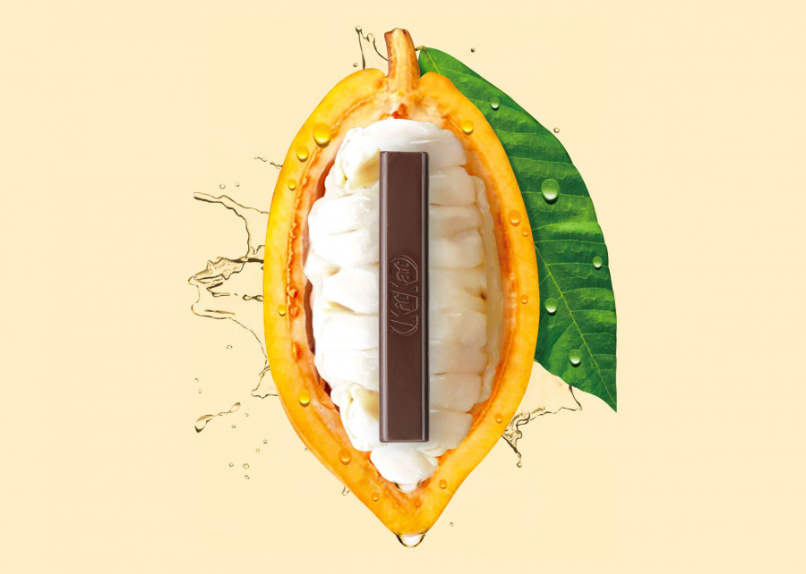 Nestlé desarrolla un proceso de elaboración natural, que le permite extraer la pulpa y usarla en el chocolate sin comprometer el sabor, la textura ni la calidad.